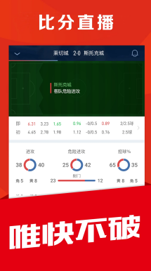 sg飞艇在极地冰区航行